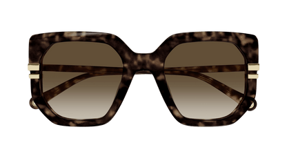 Chloé CH0240S Havana/Brown, 53mm 889652483016