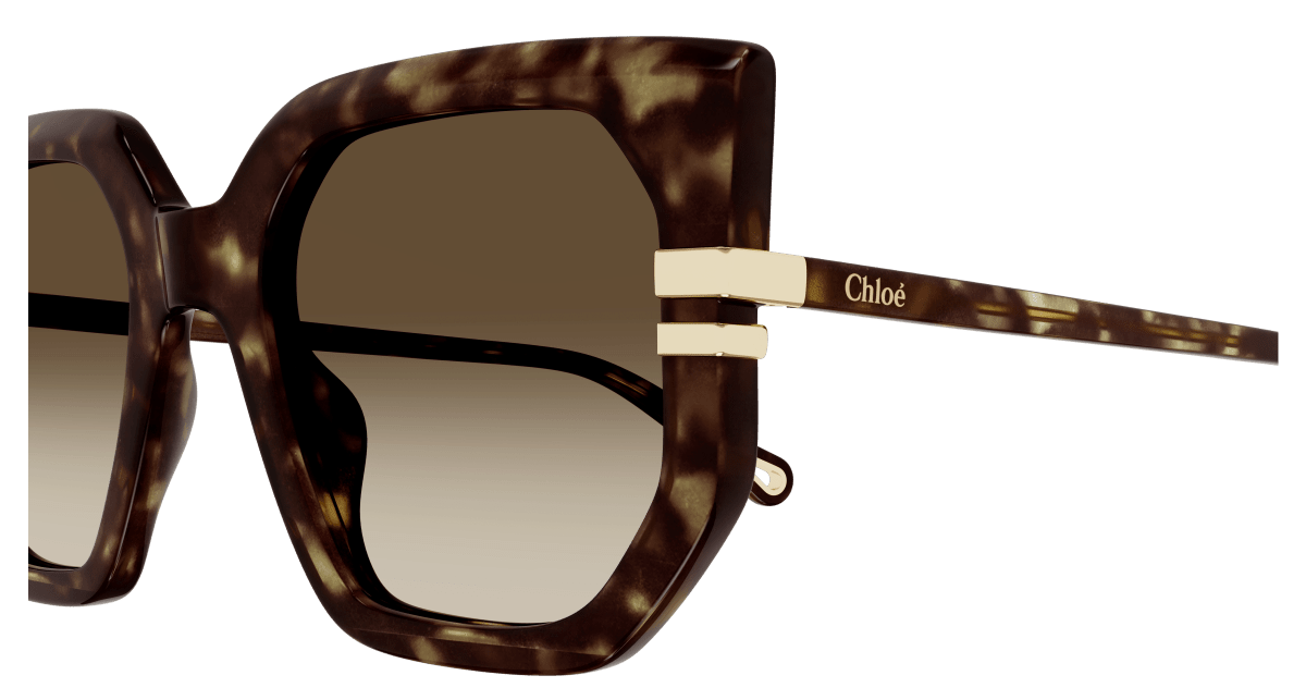 Chloé CH0240S Havana/Brown, 53mm 889652483016