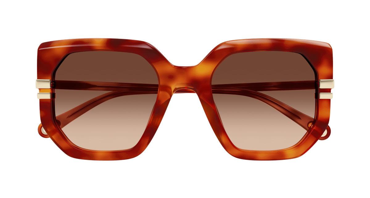 Chloé CH0240S Havana/Brown, 53mm 889652601489