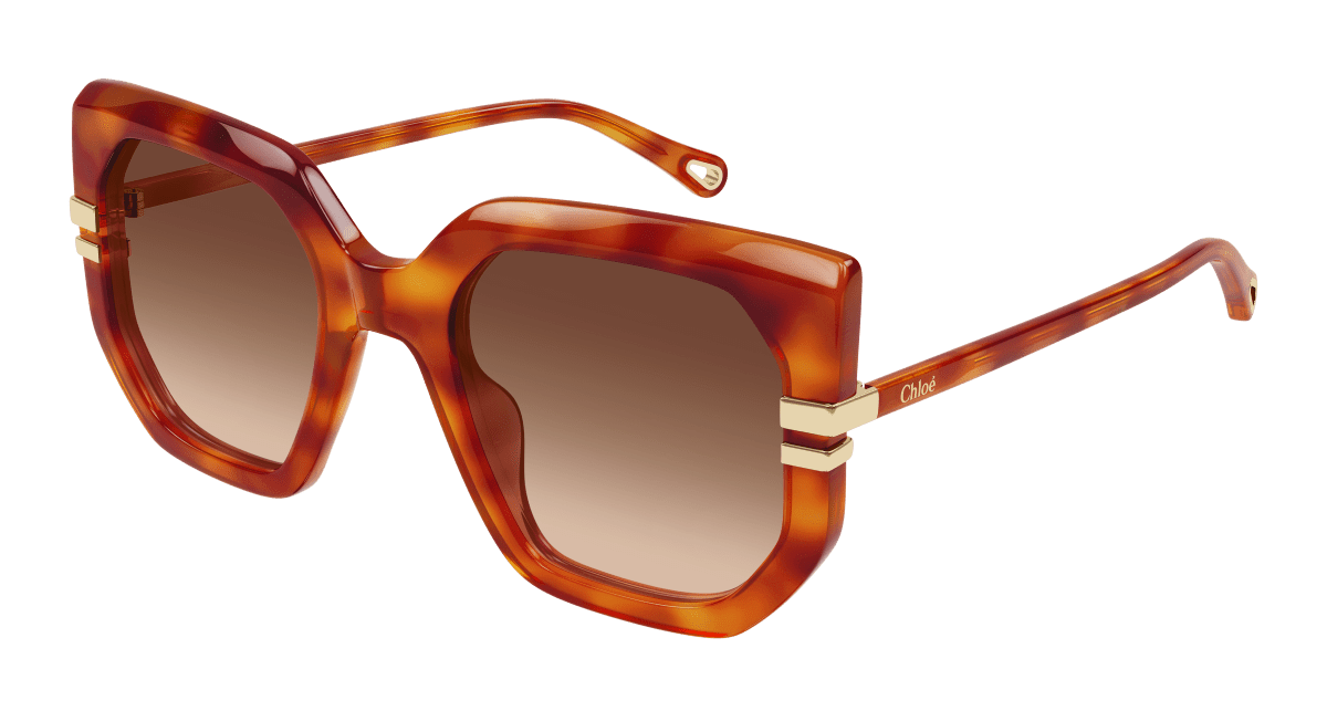 Chloé CH0240S Havana/Brown, 53mm 889652601489