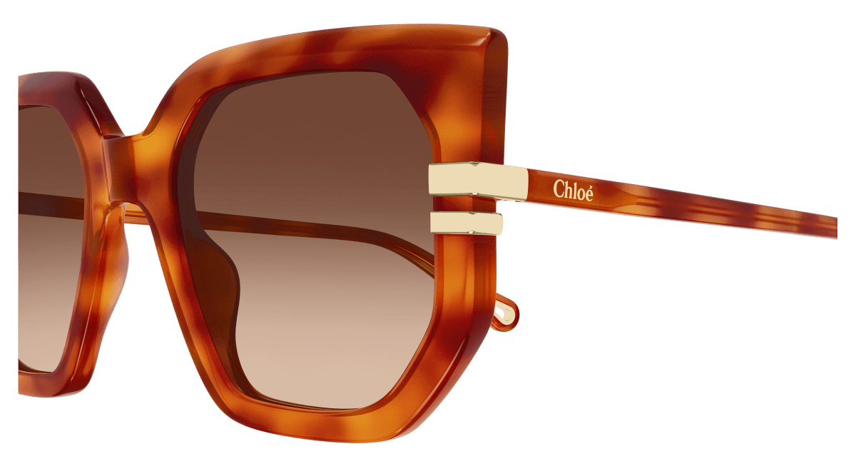 Chloé CH0240S Havana/Brown, 53mm 889652601489