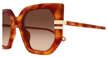 Chloé CH0240S Havana/Brown, 53mm 889652601489