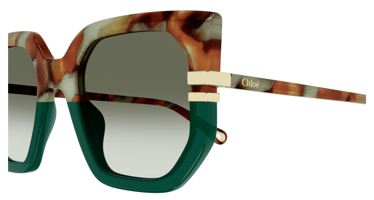 Chloé CH0240S Havana/Green, 53mm 889652483047