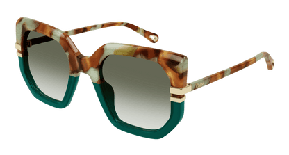 Chloé CH0240S Havana/Green, 53mm 889652483047