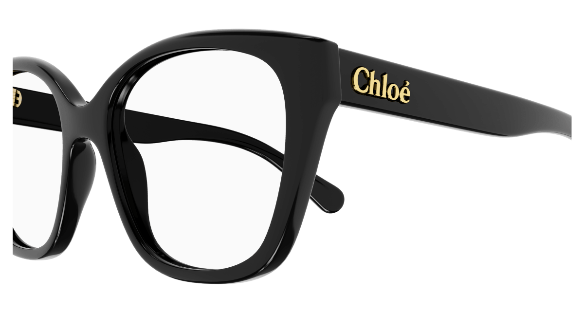 Chloé CH0241O Black, 53mm 889652484464