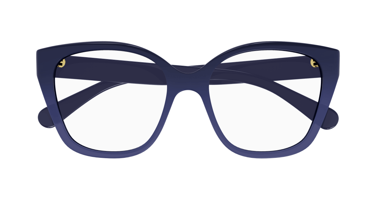 Chloé CH0241O Blue, 53mm 889652484495
