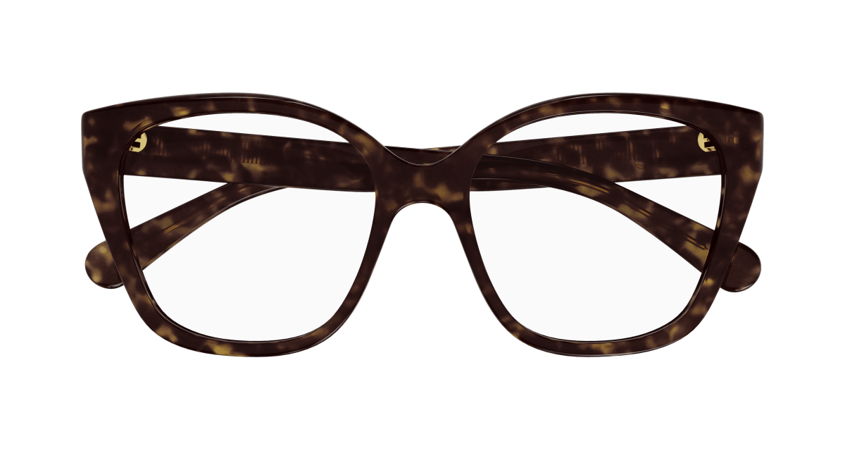 Chloé CH0241O Havana, 53mm 889652484471