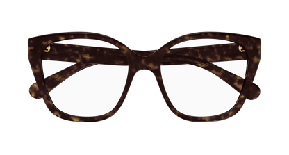 Chloé CH0241O Havana, 53mm 889652484471