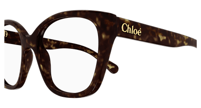 Chloé CH0241O Havana, 53mm 889652484471