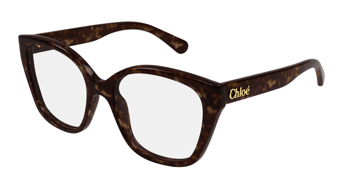 Chloé CH0241O Havana, 53mm 889652484471