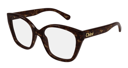 Chloé CH0241O Havana, 53mm 889652484471