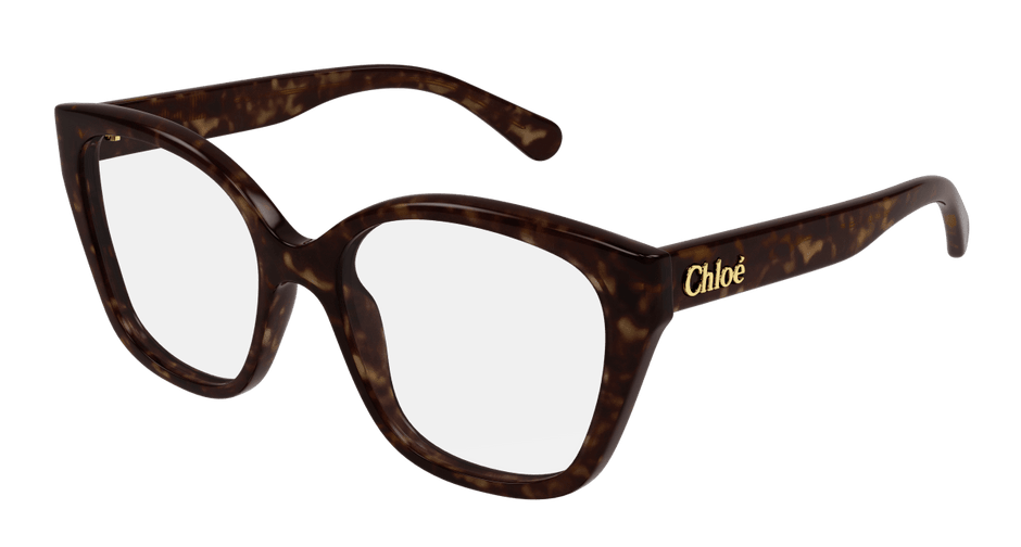Chloé CH0241O Havana, 53mm 889652484471
