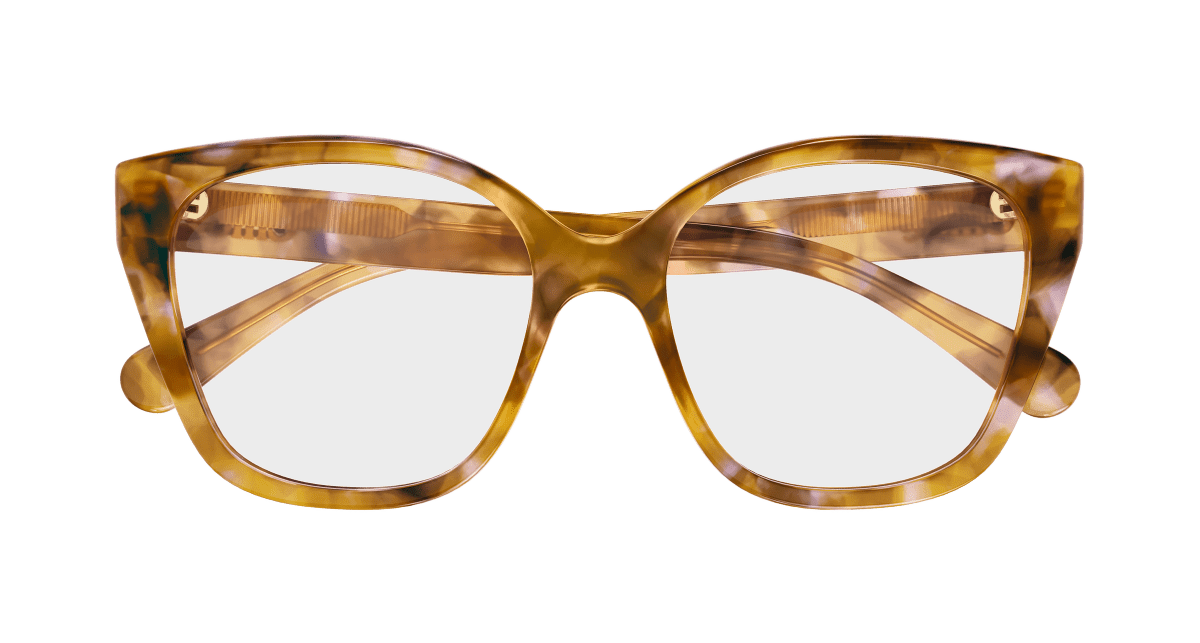 Chloé CH0241O Havana, 53mm 889652601526