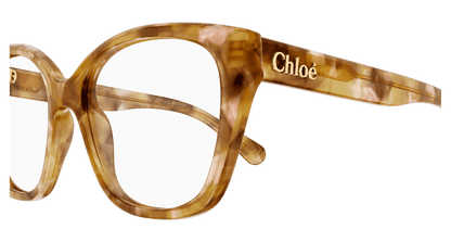 Chloé CH0241O Havana, 53mm 889652601526