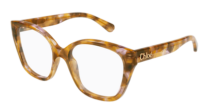 Chloé CH0241O Havana, 53mm 889652601526