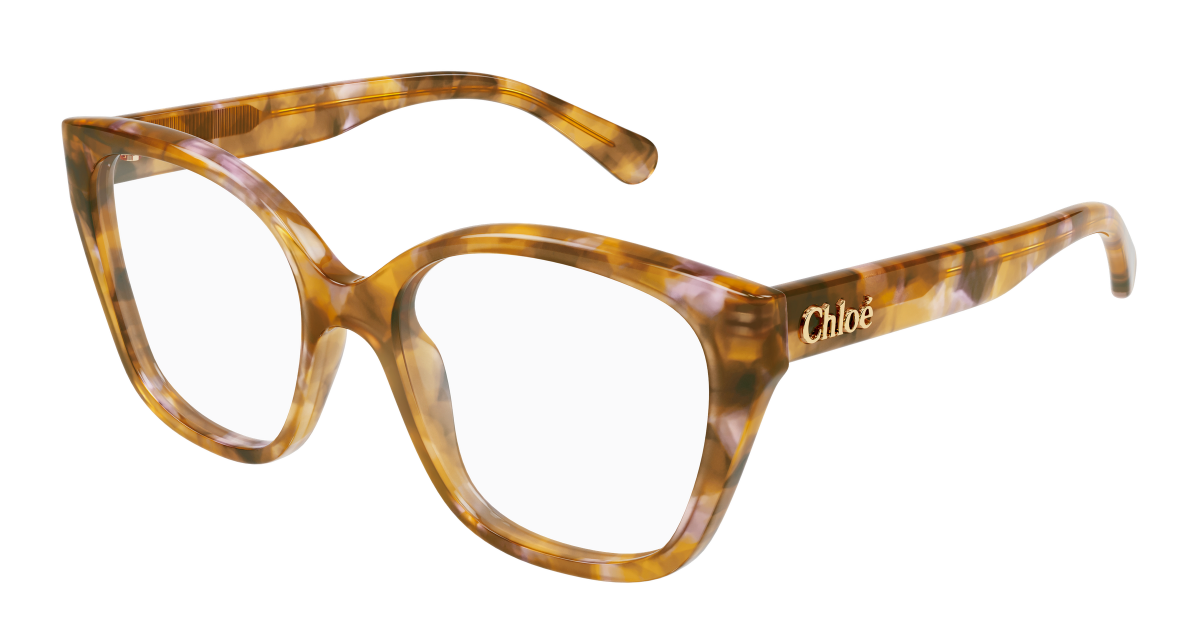 Chloé CH0241O Havana, 53mm 889652601526