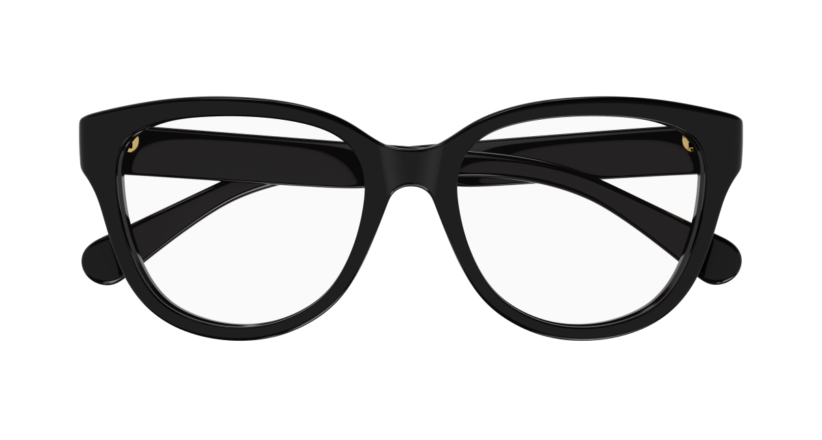 Chloe CH0243O Eyeglasses 889652484587