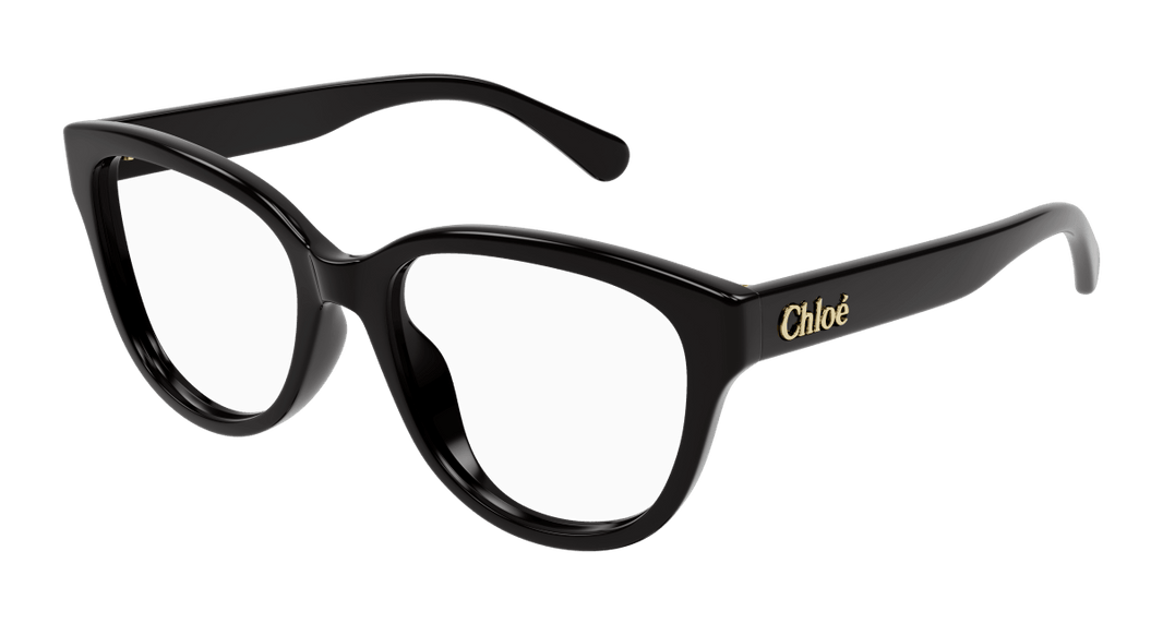 Chloe CH0243O Eyeglasses 889652484587