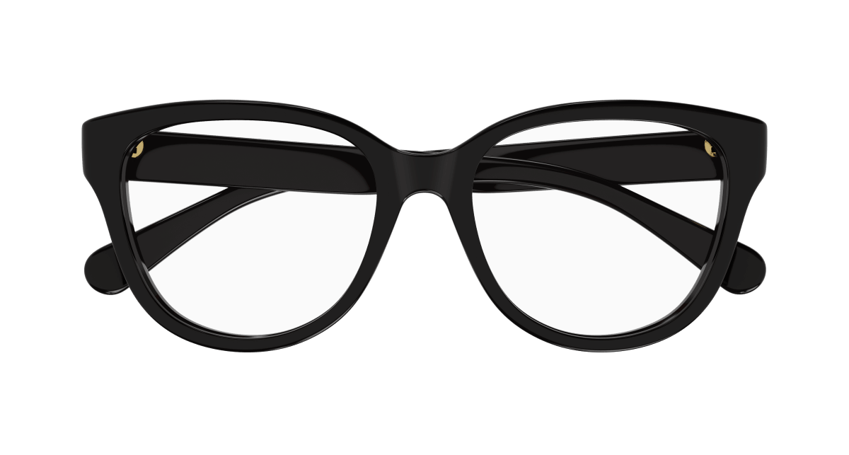 Chloé CH0243O Black 889652484587