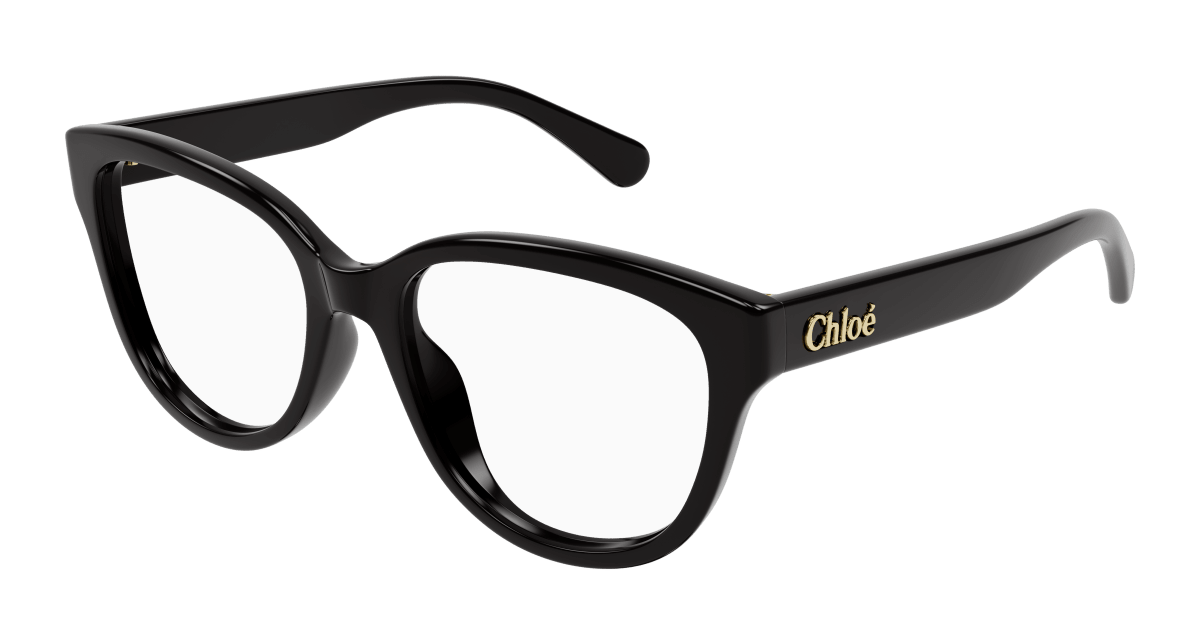 Chloé CH0243O Black 889652484587
