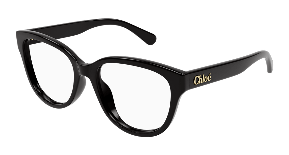 Chloé CH0243O Black 889652484587