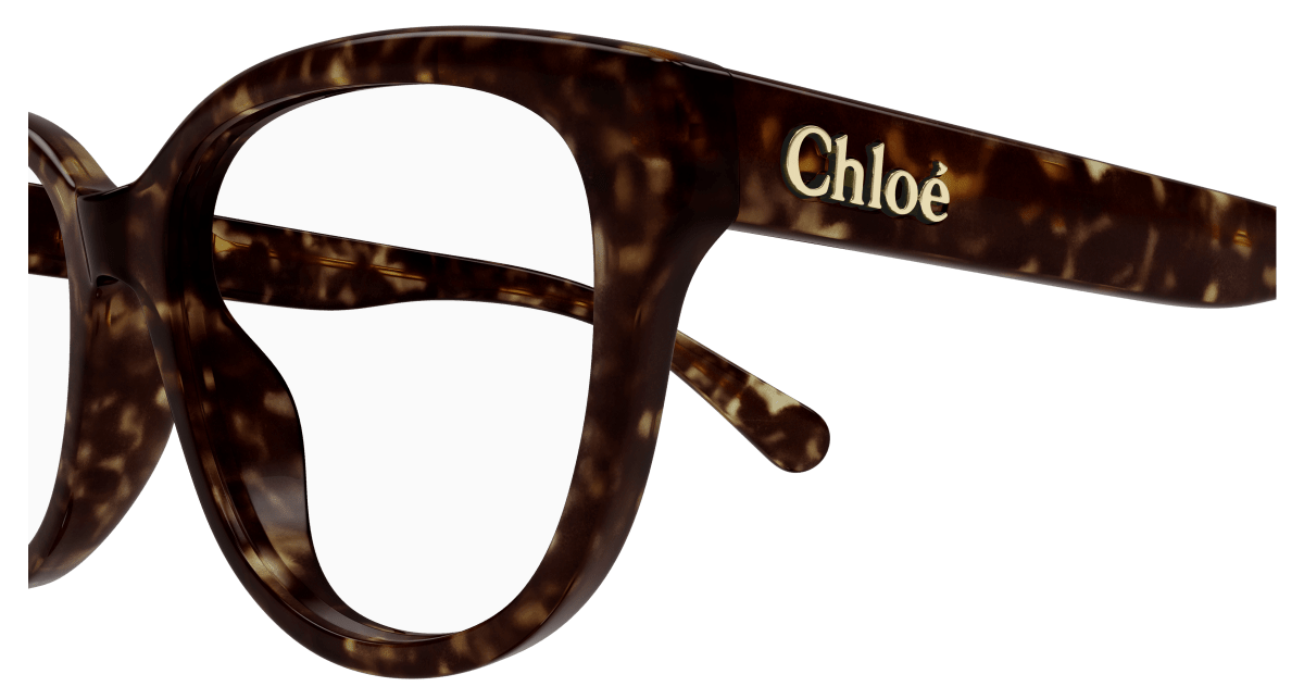 Chloé CH0243O Havana 889652484594