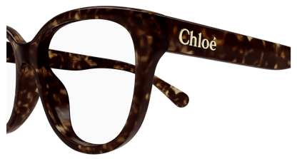 Chloé CH0243O Havana 889652484594