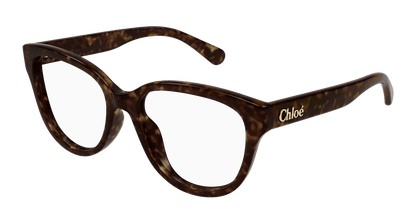 Chloé CH0243O Havana 889652484594
