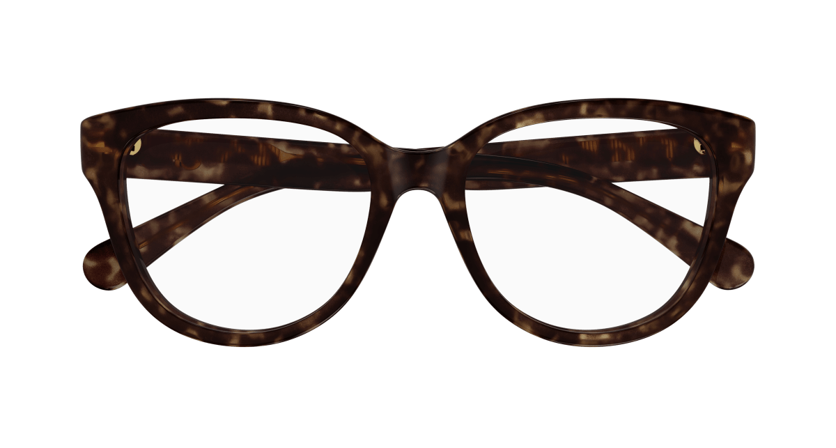 Chloé CH0243O Havana 889652484594