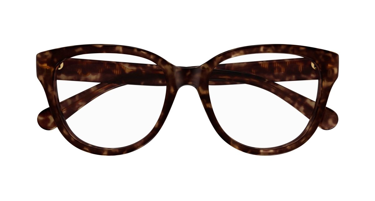 Chloe CH0243O Eyeglasses 889652484594