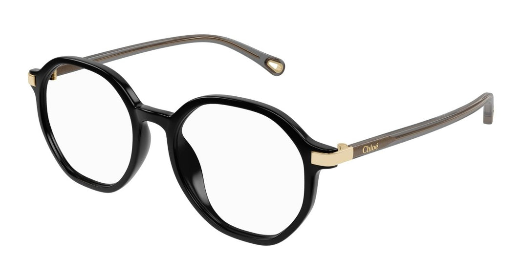 Chloe CH0249OA Eyeglasses 889652485188
