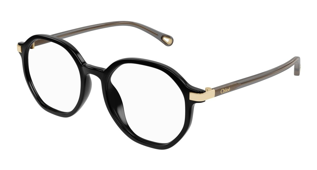 Chloe CH0249OA Eyeglasses 889652485188