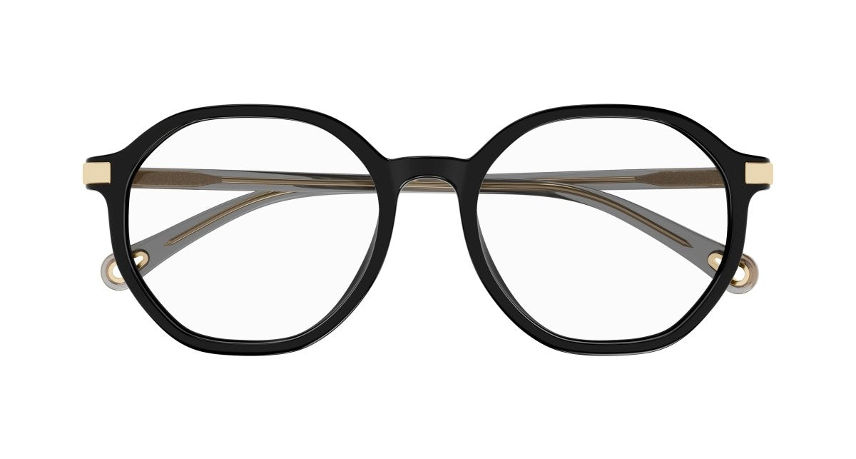 Chloe CH0249OA Eyeglasses 889652485188