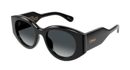 Chloé CH0251S Black/Grey 889652510033