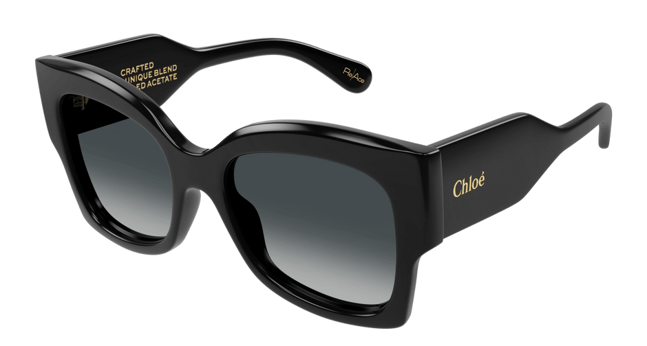Chloé CH0252S Black/Grey 889652510118