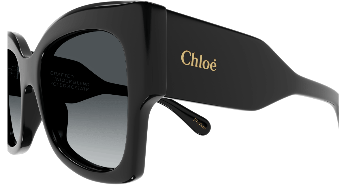 Chloé CH0252S Black/Grey 889652510118