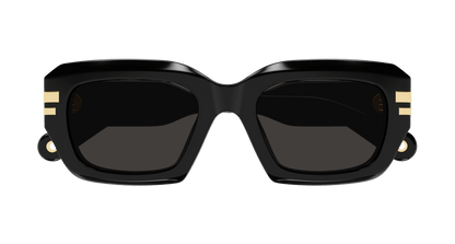 Chloe CH0256S Sunglasses 889652514680