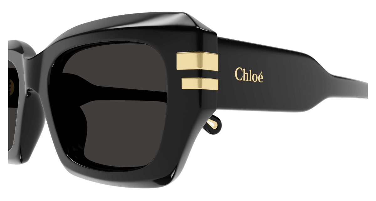 Chloé CH0256S Black/Grey 889652514680