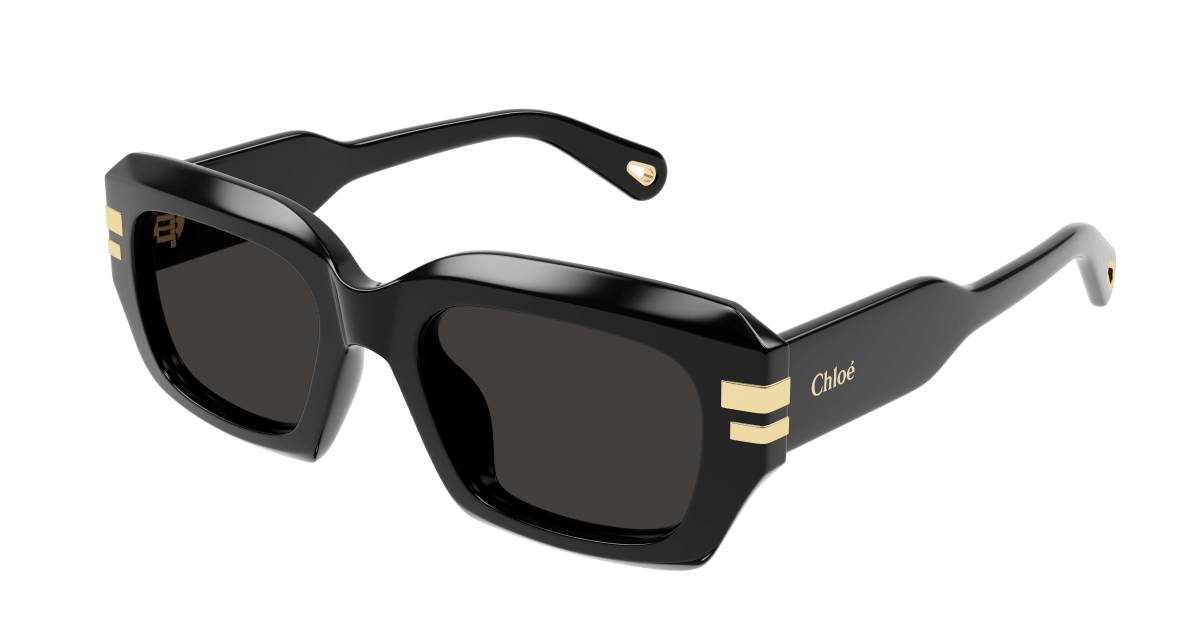 Chloé CH0256S Black/Grey 889652514680