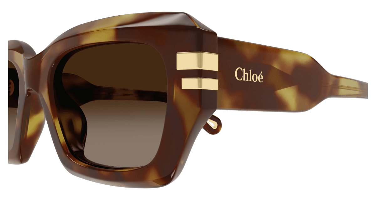Chloé CH0256S Havana/Brown 889652514697