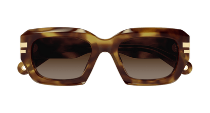 Chloé CH0256S Havana/Brown 889652514697