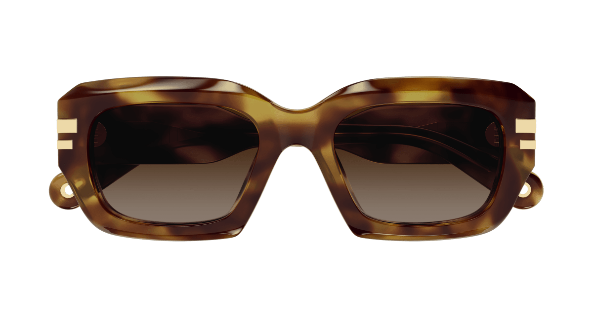 Chloé CH0256S Havana/Brown 889652514697