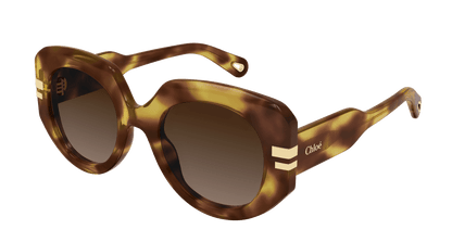 Chloé CH0257S Havana/Brown 889652514772