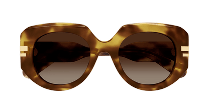 Chloé CH0257S Havana/Brown 889652514772