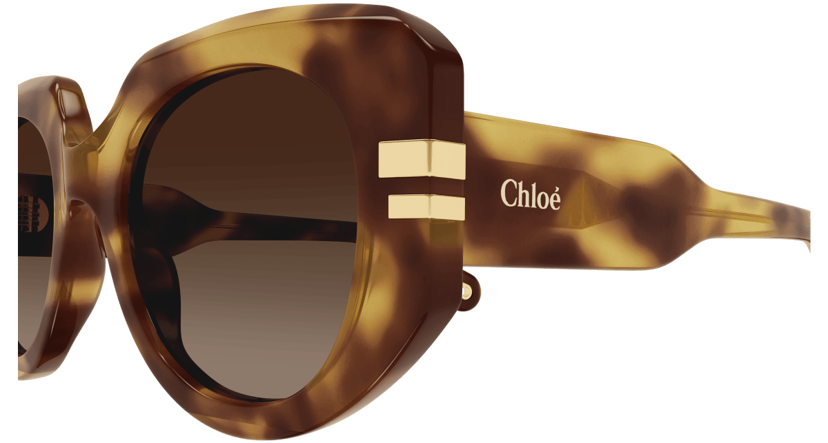 Chloé CH0257S Havana/Brown 889652514772
