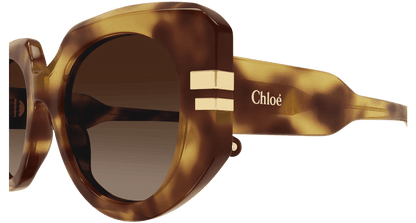Chloé CH0257S Havana/Brown 889652514772