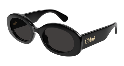 Chloe CH0258S Sunglasses 889652514819