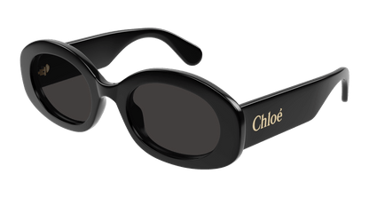 Chloé CH0258S Black/Grey 889652514819