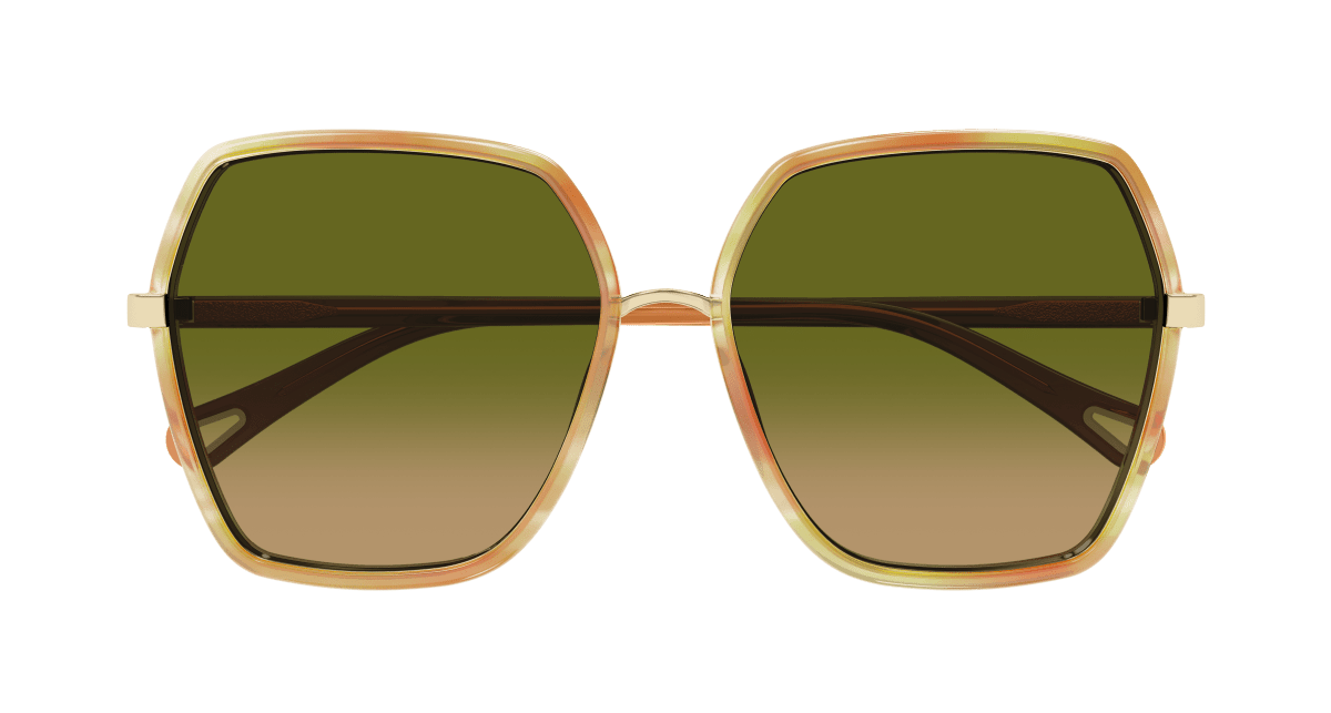 Chloé CH0262S Havana/Green 889652514994