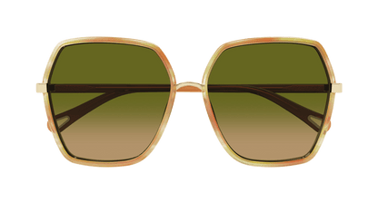 Chloé CH0262S Havana/Green 889652514994
